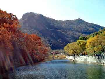 新澳天天开奖资料大全旅游团，千年灵芝